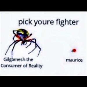 Meet your Posher, Fenwick